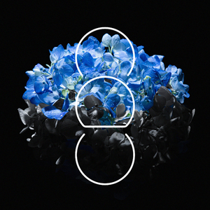 黑人又粗又大XXXXXXX视频
